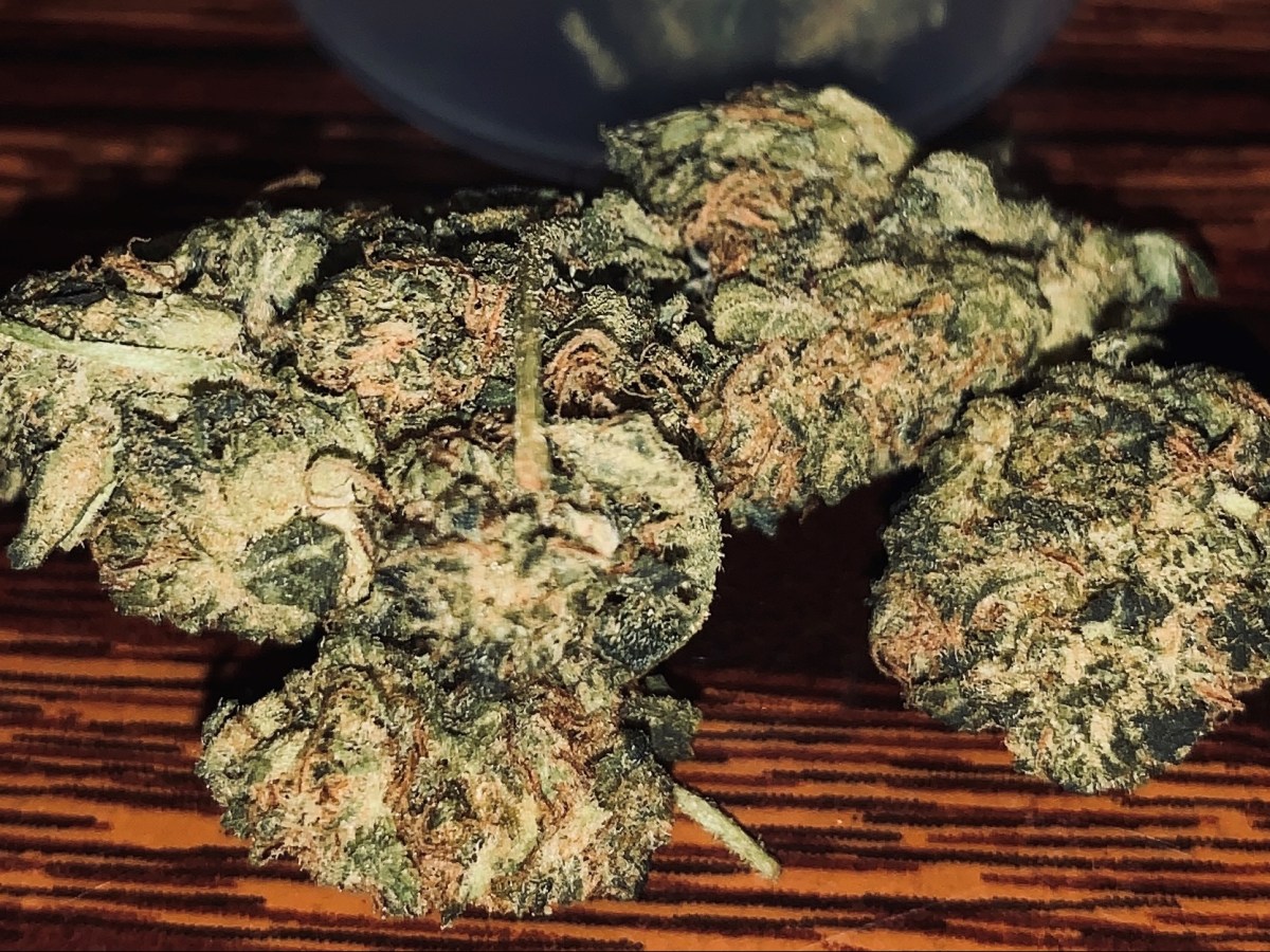 Strain Of the Week: Do Si&nbsp;Gelato